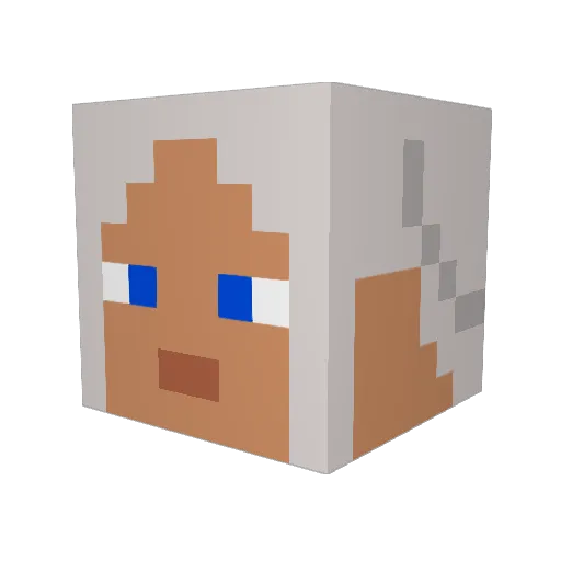 BjorntheViking Minecraft avatar head, 3D render