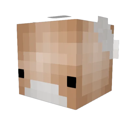 Bjort Minecraft avatar head, 3D render