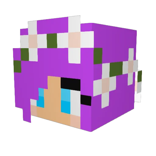 Bjp09 Minecraft avatar head, 3D render