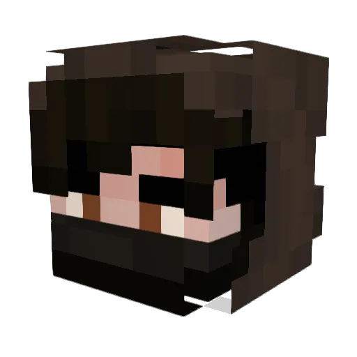 BjronarRNoAF Minecraft avatar head, 3D render