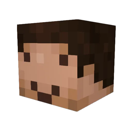 Bk2k11 Minecraft avatar head, 3D render
