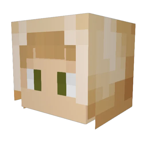Bkbkbkdog Minecraft avatar head, 3D render