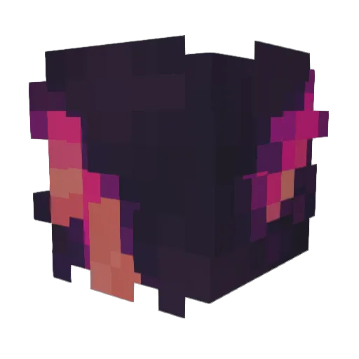 Bkhr08 Minecraft avatar head, 3D render