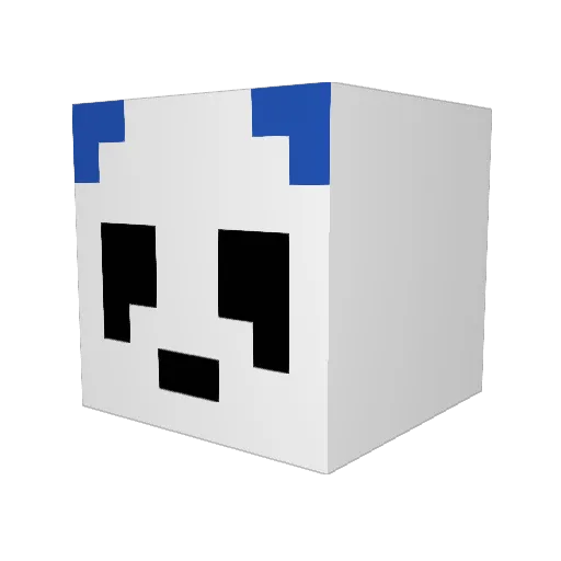 Bkil808 Minecraft avatar head, 3D render