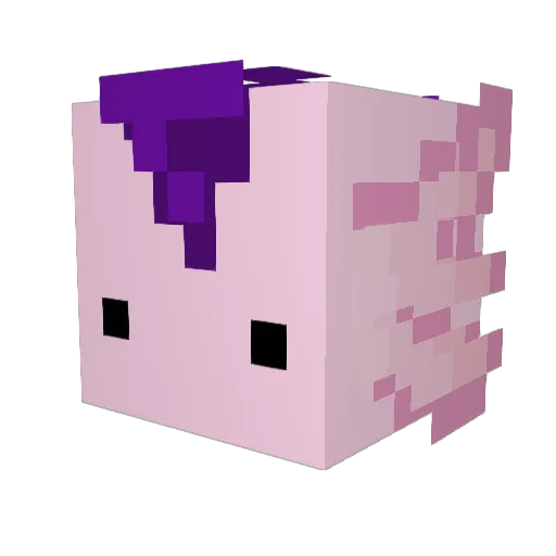 Bl00_Jay Minecraft avatar head, 3D render