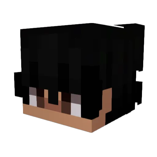Bl00dyMurd3r Minecraft avatar head, 3D render