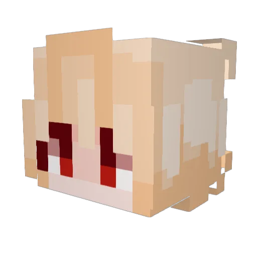 Bl0ook Minecraft avatar head, 3D render