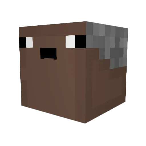 Bl0xyCraftIsHere Minecraft avatar head, 3D render