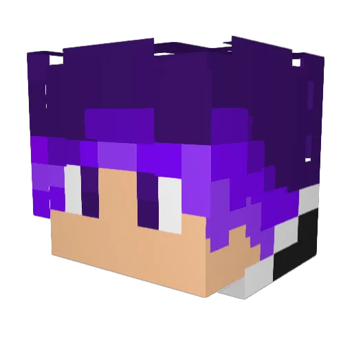 Bl4aZe Minecraft avatar head, 3D render