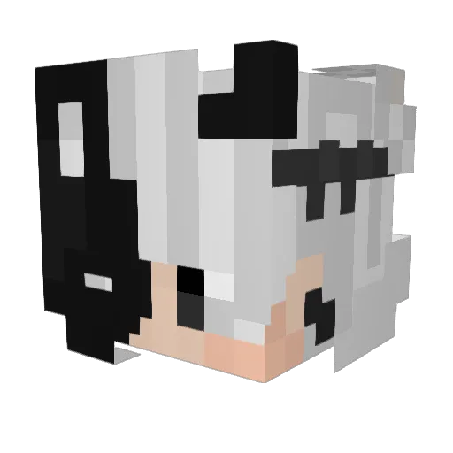 Bl4ck0ut3205 Minecraft avatar head, 3D render