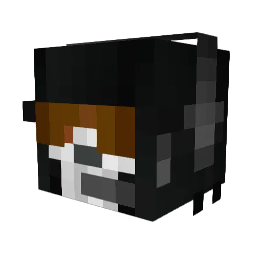 Bl4ckBalls Minecraft avatar head, 3D render