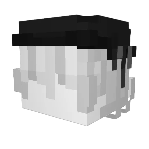 Bl4cksBW Minecraft avatar head, 3D render