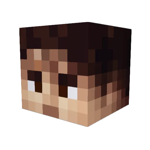 Bl4der3007 Minecraft avatar head, 3D render