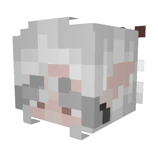 Bl_ank Minecraft avatar head, 3D render