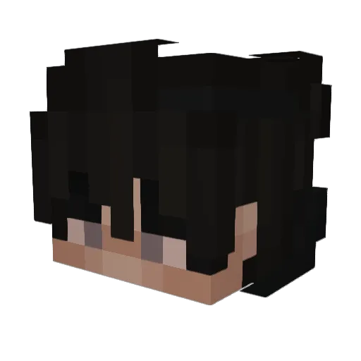 BlaCkSTar_Gaming Minecraft avatar head, 3D render