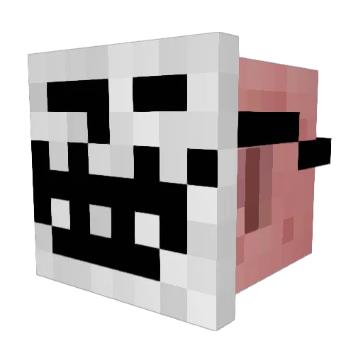 Blabberbum Minecraft avatar head, 3D render
