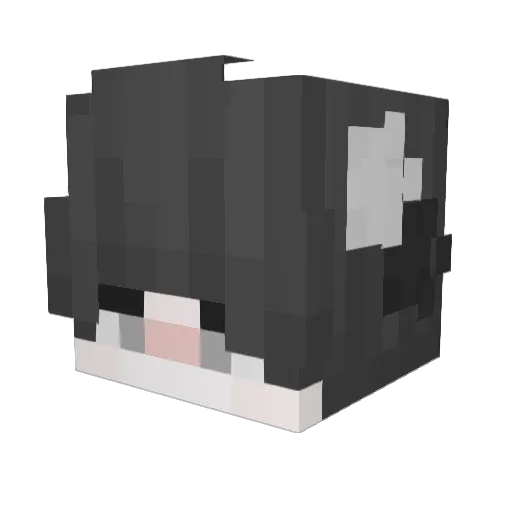 BlacKumB Minecraft avatar head, 3D render