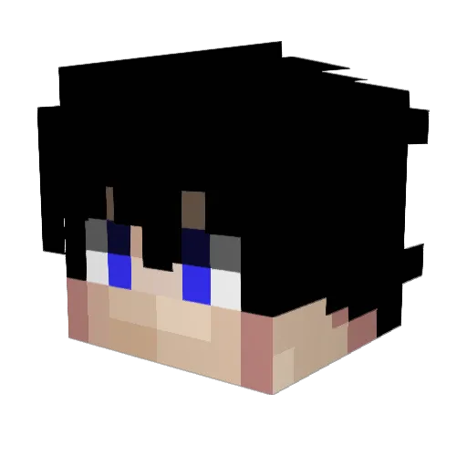 Black0ut_x Minecraft avatar head, 3D render