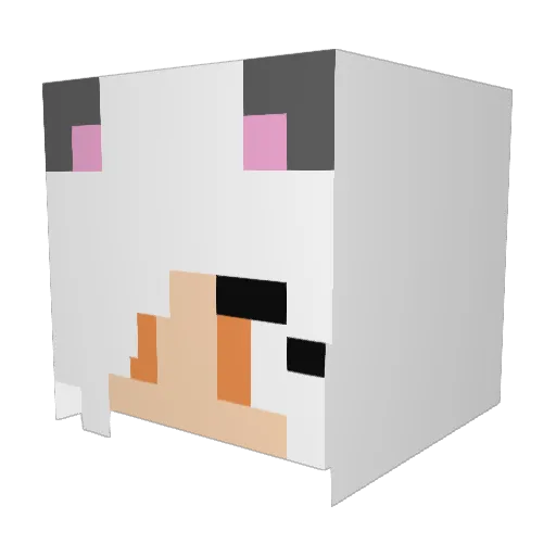 Black3y1 Minecraft avatar head, 3D render