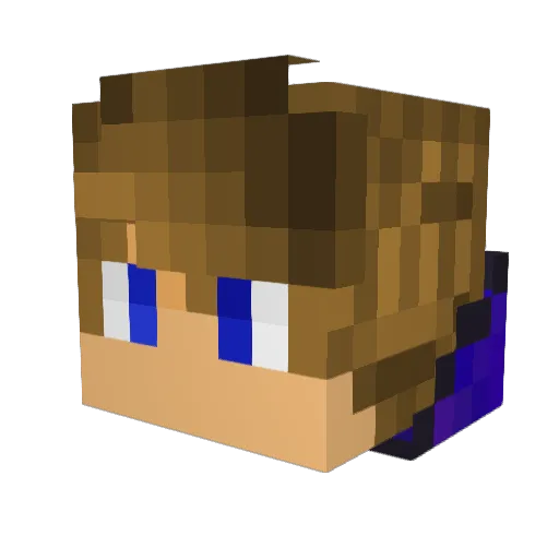 Black696969 Minecraft avatar head, 3D render
