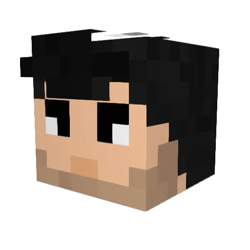 Black778 Minecraft avatar head, 3D render