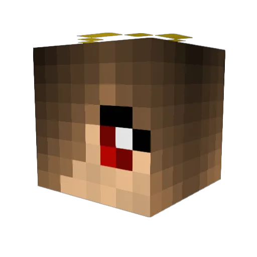 BlackAngel1111 Minecraft avatar head, 3D render