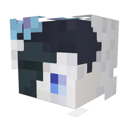 BlackBarren Minecraft avatar head, 3D render