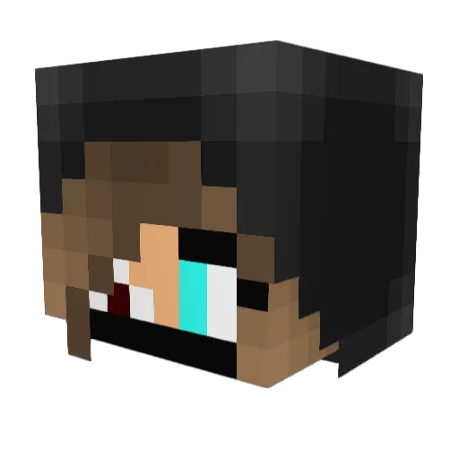 BlackBeauty90 Minecraft avatar head, 3D render