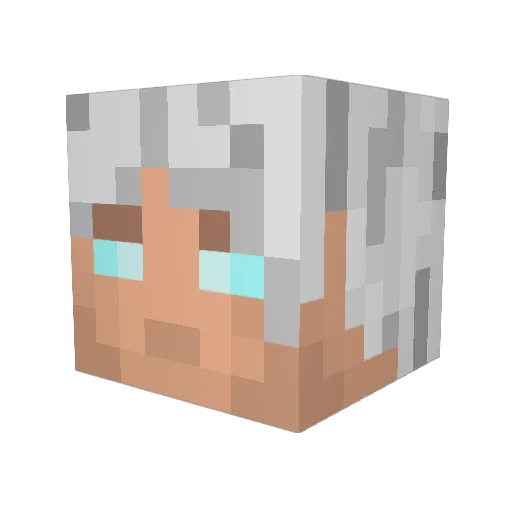 BlackBelt_ Minecraft avatar head, 3D render