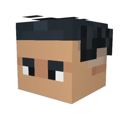 BlackBerry8973 Minecraft avatar head, 3D render