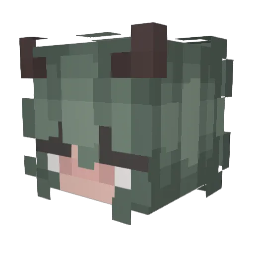 BlackBirDied Minecraft avatar head, 3D render