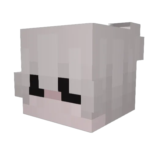 BlackCanny Minecraft avatar head, 3D render