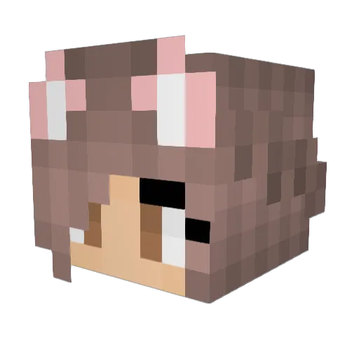 BlackCat__ Minecraft avatar head, 3D render