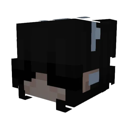 BlackCherryCola Minecraft avatar head, 3D render