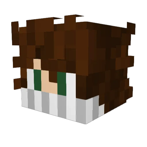 BlackCoder Minecraft avatar head, 3D render