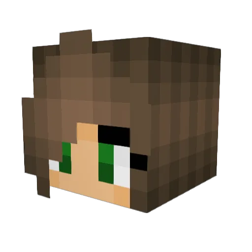 BlackCookie Minecraft avatar head, 3D render