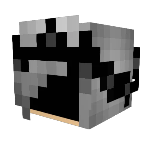 BlackDeath09 Minecraft avatar head, 3D render