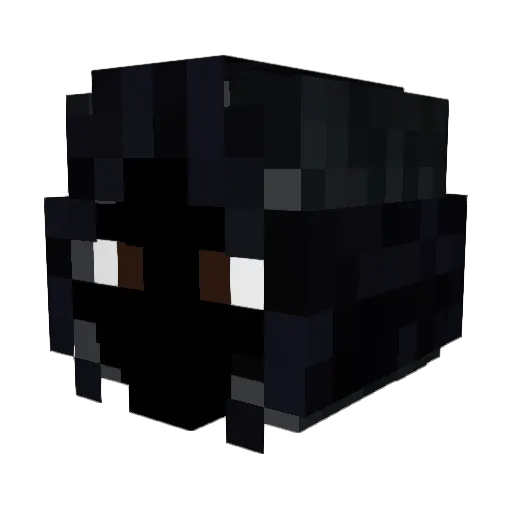 BlackDestiny17 Minecraft avatar head, 3D render