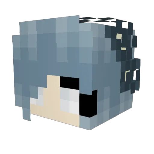 BlackDrag00n666 Minecraft avatar head, 3D render