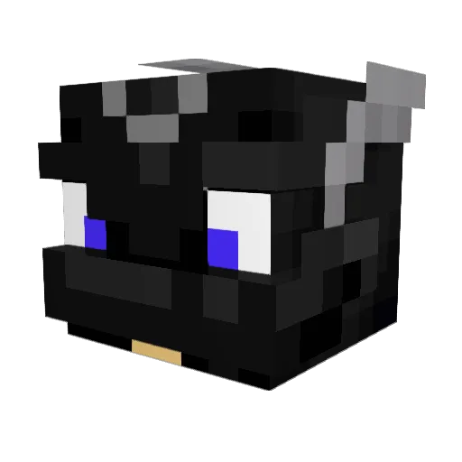 BlackDragon600 Minecraft avatar head, 3D render