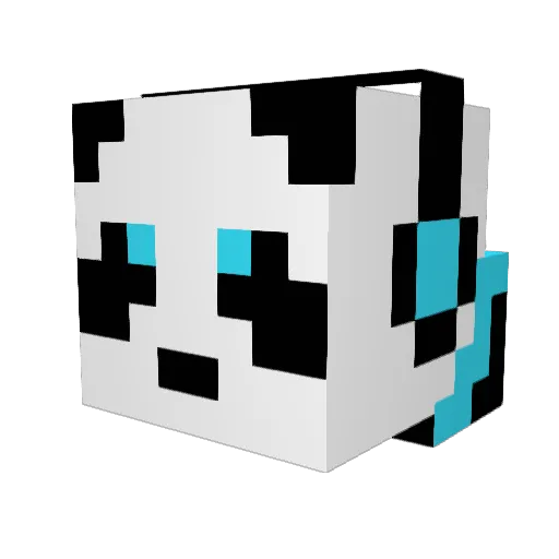 BlackDragonFR Minecraft avatar head, 3D render