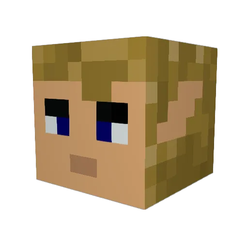 BlackEagle31 Minecraft avatar head, 3D render