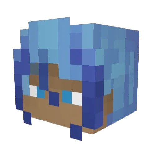 BlackFL007 Minecraft avatar head, 3D render