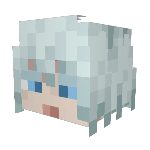 BlackFang122 Minecraft avatar head, 3D render