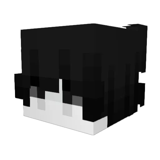 BlackFeather15 Minecraft avatar head, 3D render