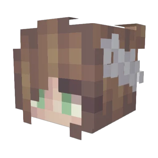BlackFlame593 Minecraft avatar head, 3D render