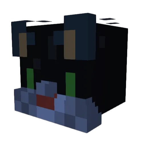 BlackFox165 Minecraft avatar head, 3D render