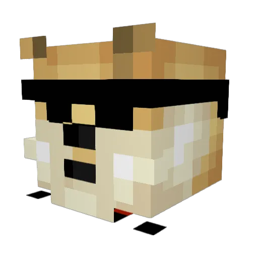 BlackFox20001283 Minecraft avatar head, 3D render
