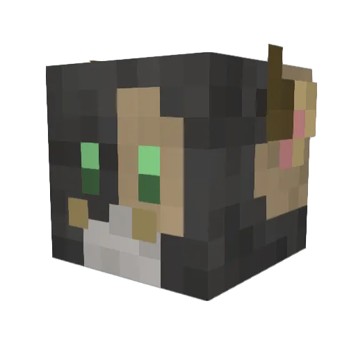 BlackFox Minecraft avatar head, 3D render