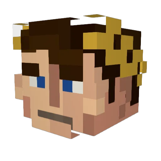 BlackFox_E11 Minecraft avatar head, 3D render